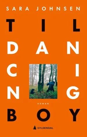 Omslag: "Til dancing boy : roman" av Sara Johnsen