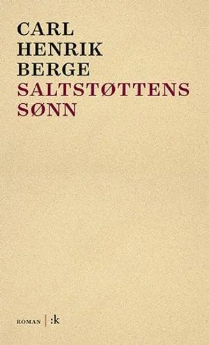 Omslag: "Saltstøttens sønn : roman" av Carl Henrik Berge